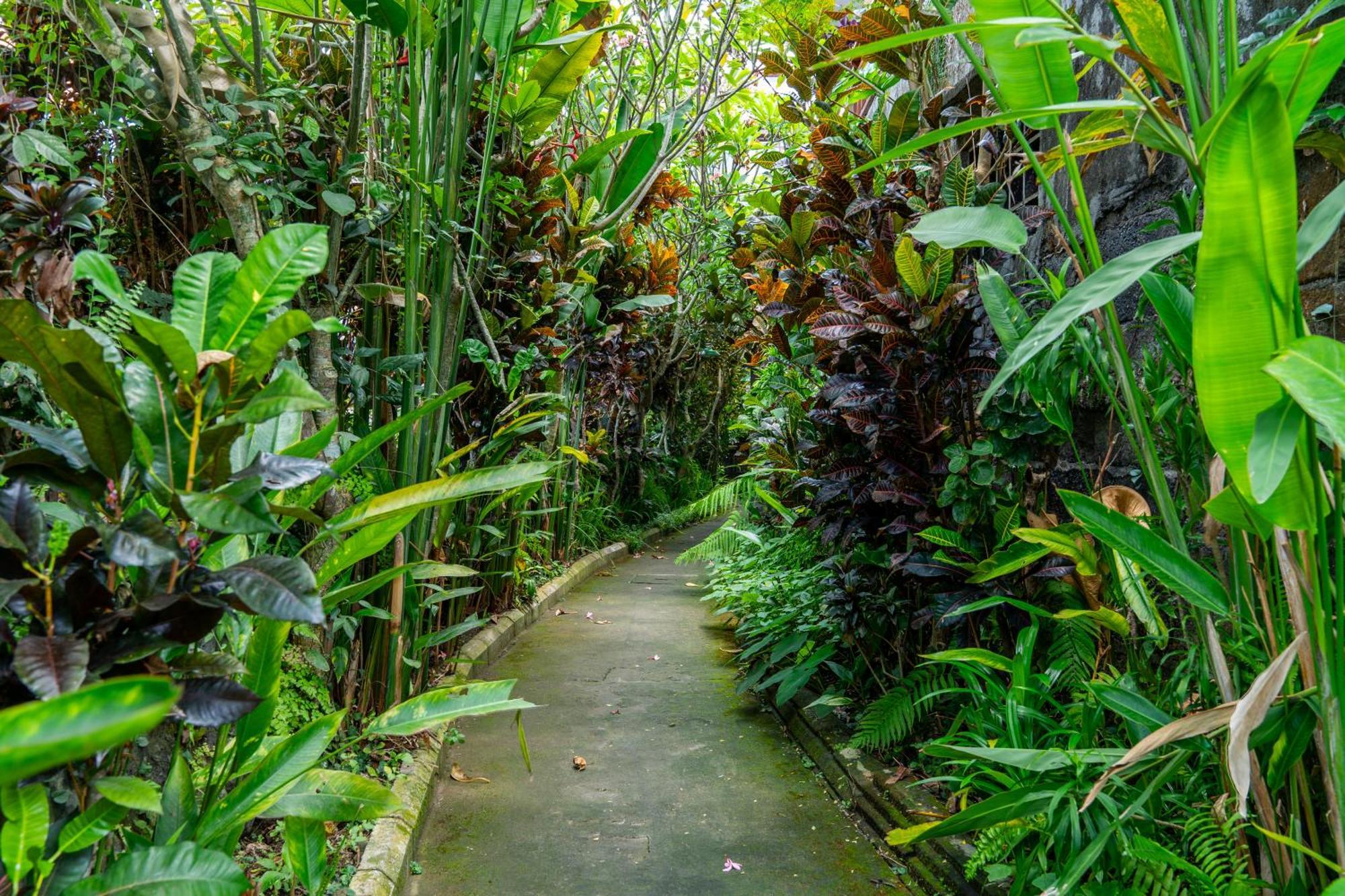 Kausala Bisma Ubud Exterior foto